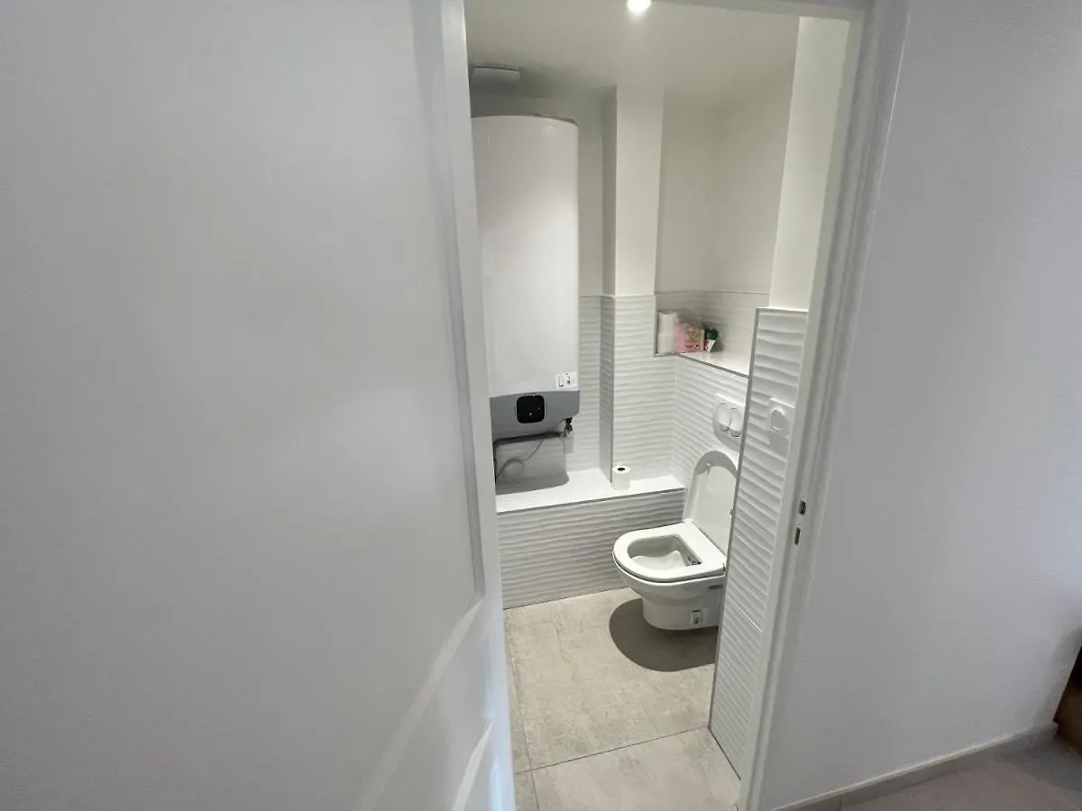 Appartement Lyon Villeurbanne Flachet Zola