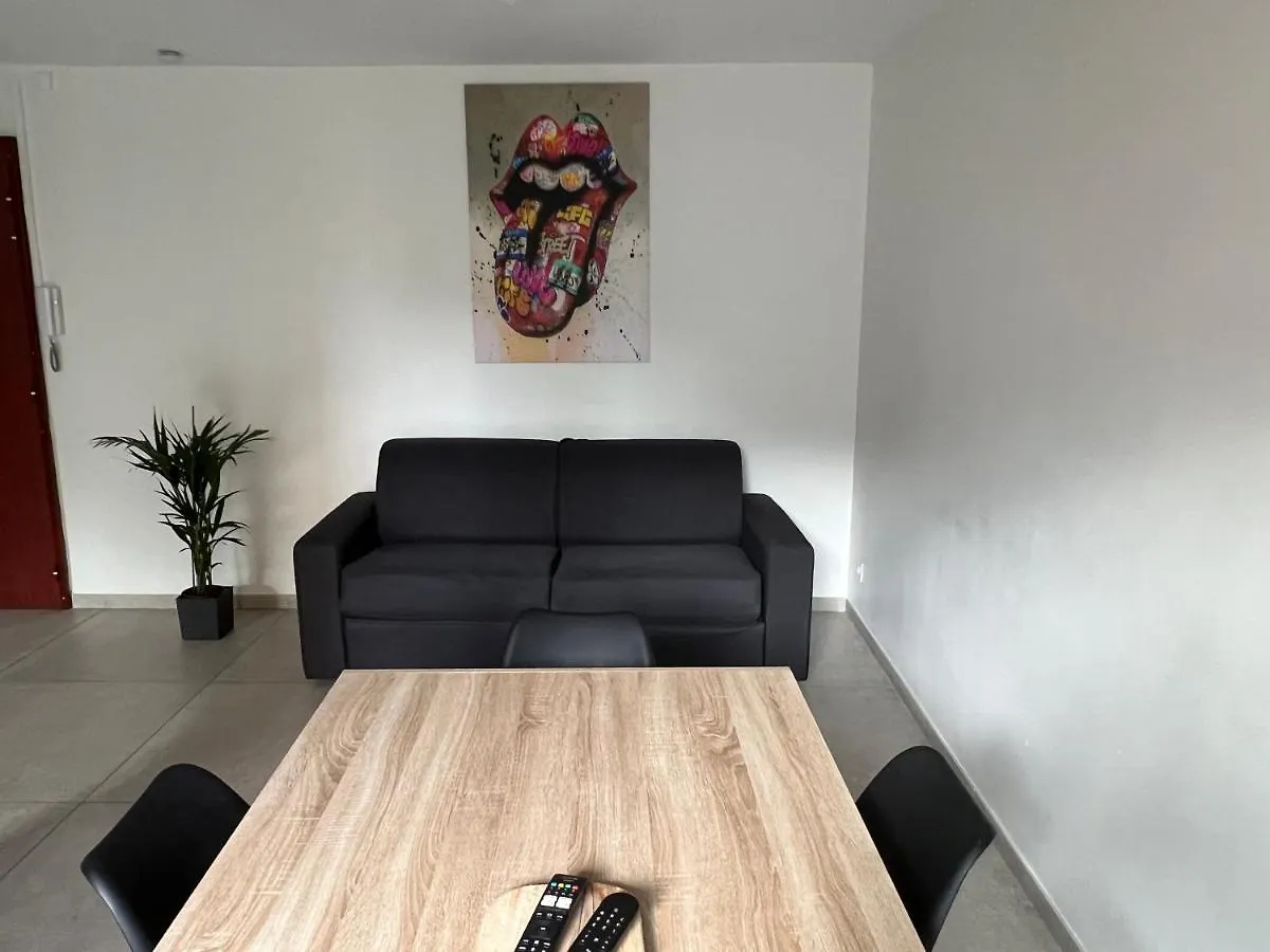Appartement Lyon Villeurbanne Flachet Zola